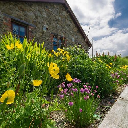 Tyn Rhos Country House Caernarfon Exterior foto